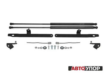Амортизаторы капота АвтоУпор для Toyota RAV4 2019-, 2 шт. UTORAV031 в 
