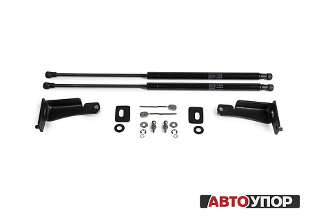 Амортизаторы капота АвтоУПОР для Nissan Pathfinder с 2014 по наст., 2 шт. UNIPAT021 в 